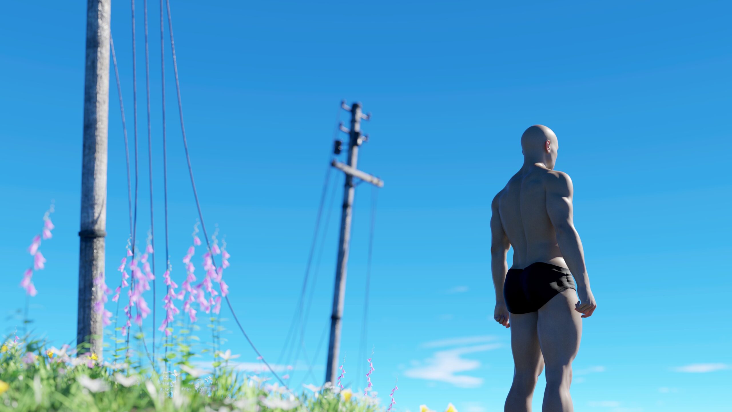 Lost connection (2020)
